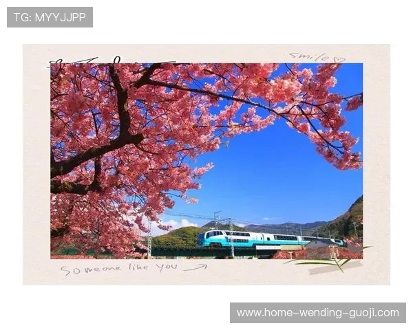 女王公园巡游者俱乐部：探索绿意盎然的城市心脏，享受独特的自然与历史之旅